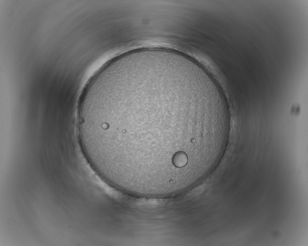 X0000113231286200910011400