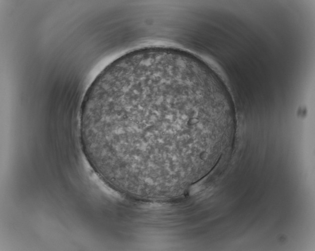 X0000113231287200910011400