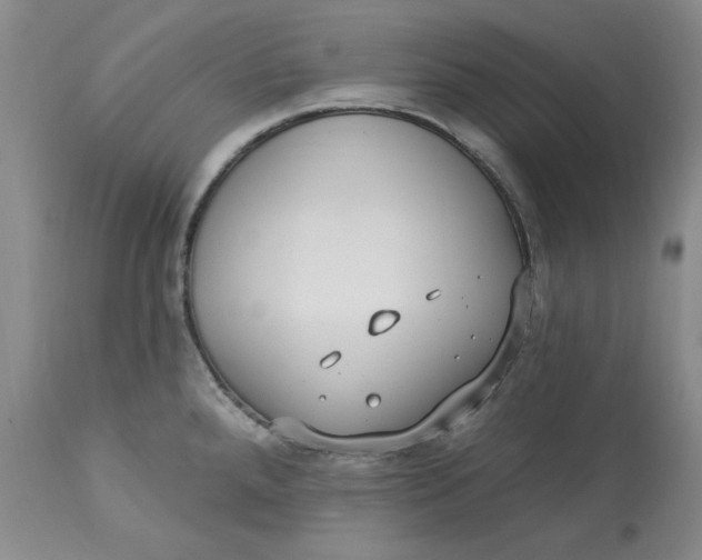 X0000113231288200910011400