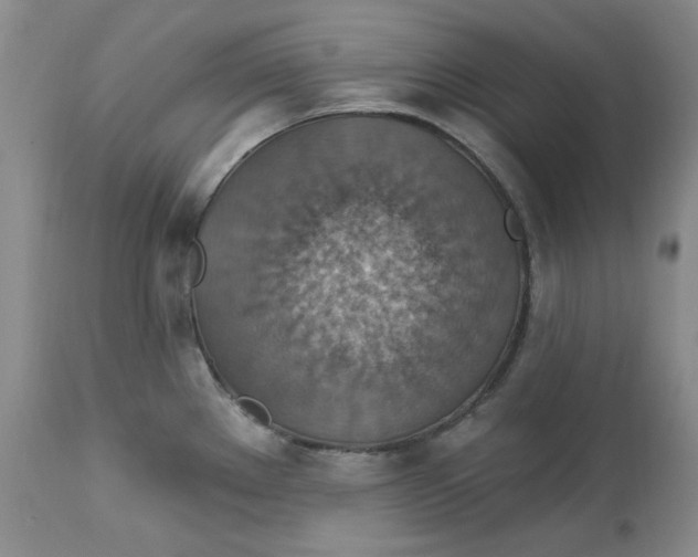 X0000113231289200910011400