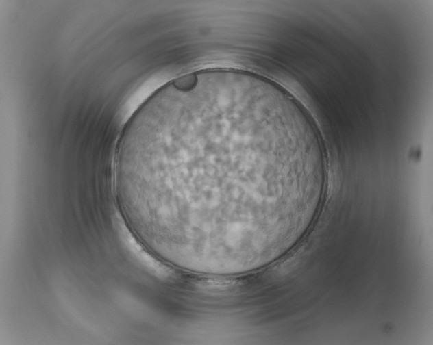 X0000113231290200910011400