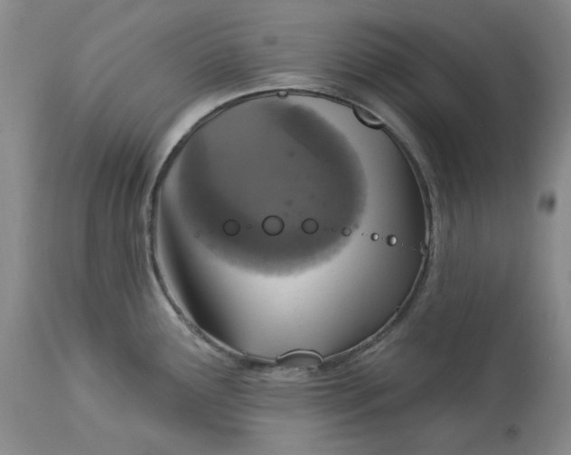 X0000113231291200910011400