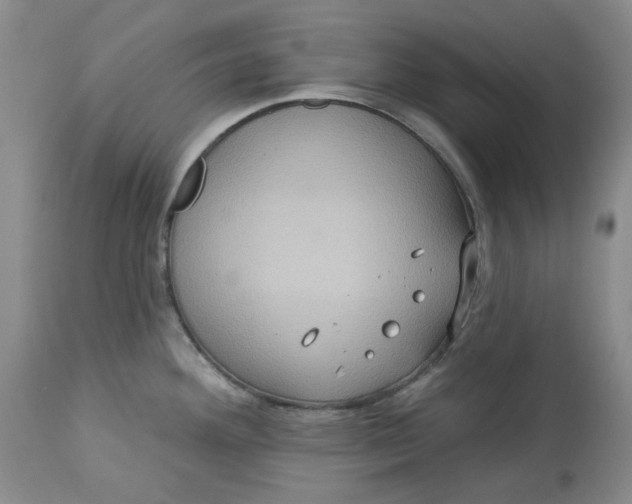 X0000113231292200910011400