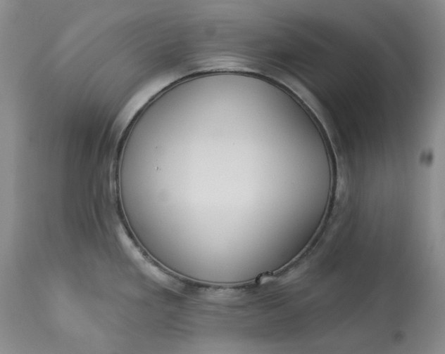 X0000113231293200910011400