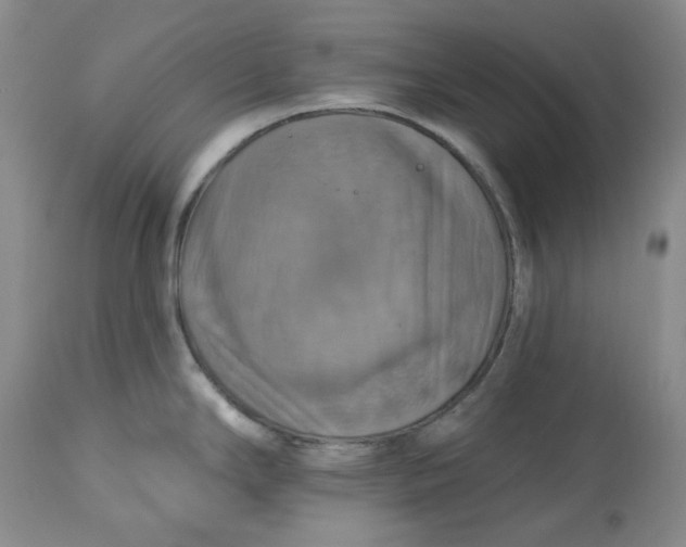 X0000113231294200910011400