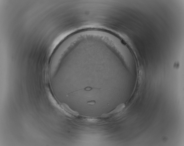 X0000113231295200910011400