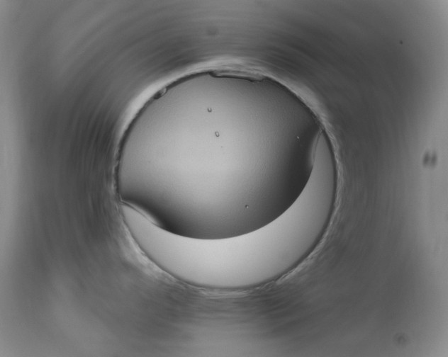 X0000113231296200910011400