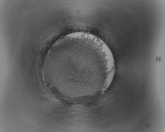 X0000113231297200910011400