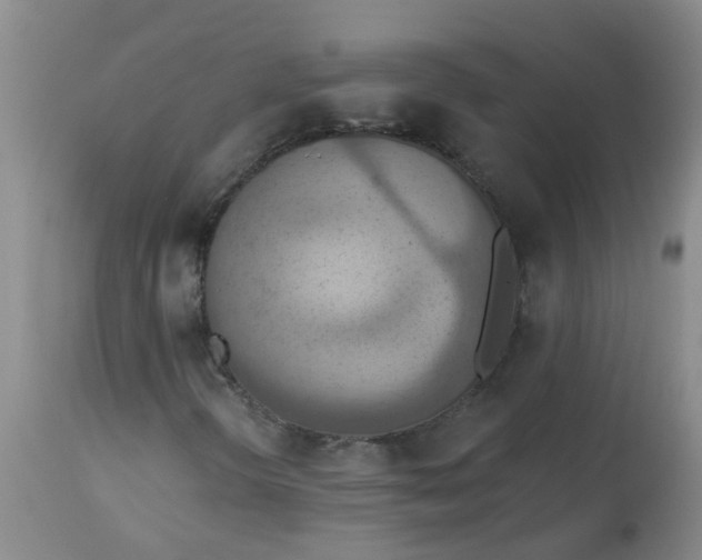 X0000113231298200910011400