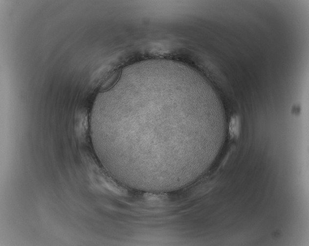 X0000113231299200910011400