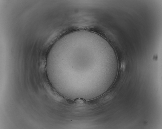 X0000113231300200910011400