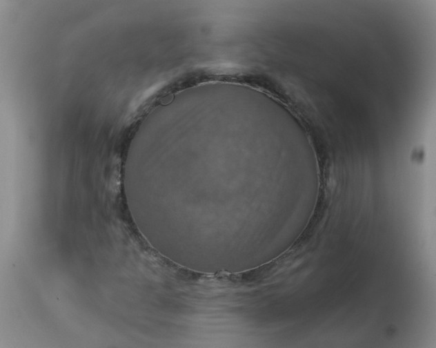 X0000113231301200910011400