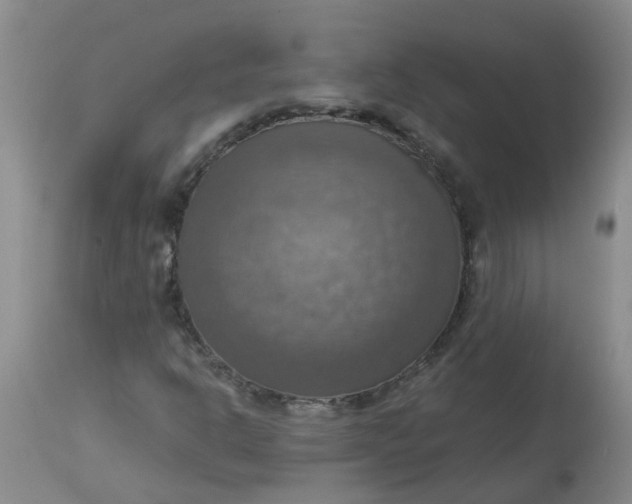 X0000113231302200910011400