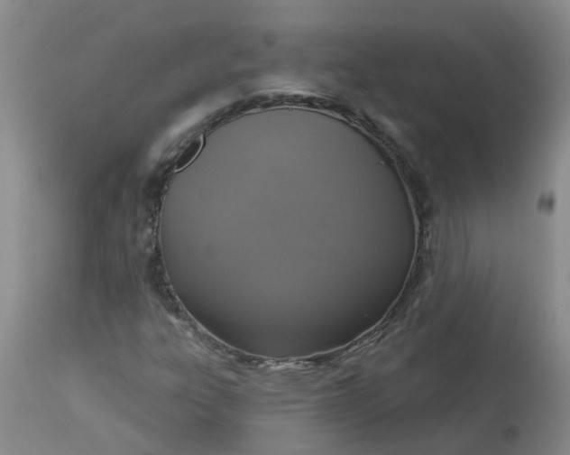 X0000113231303200910011400