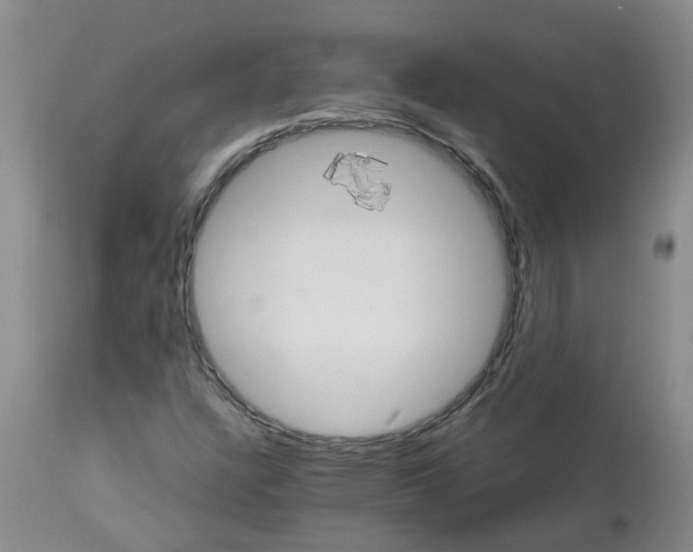 X0000113231304200910011400