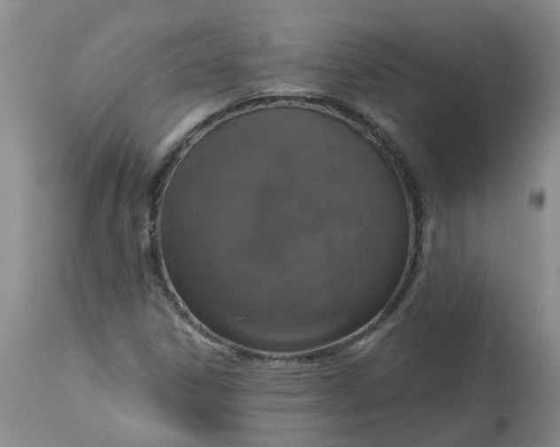 X0000113231306200910011400