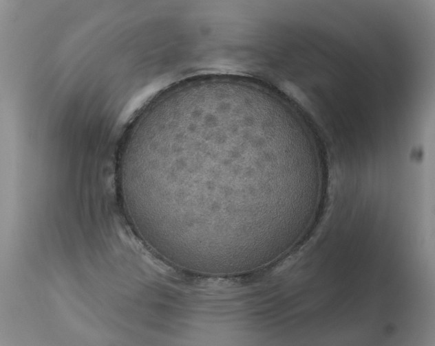 X0000113231307200910011400