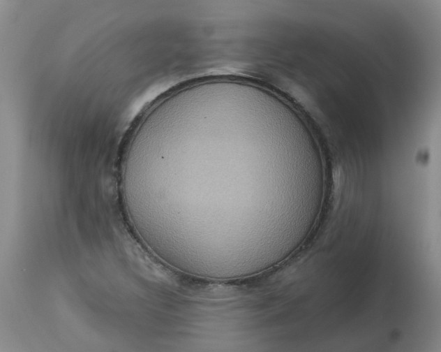 X0000113231308200910011400