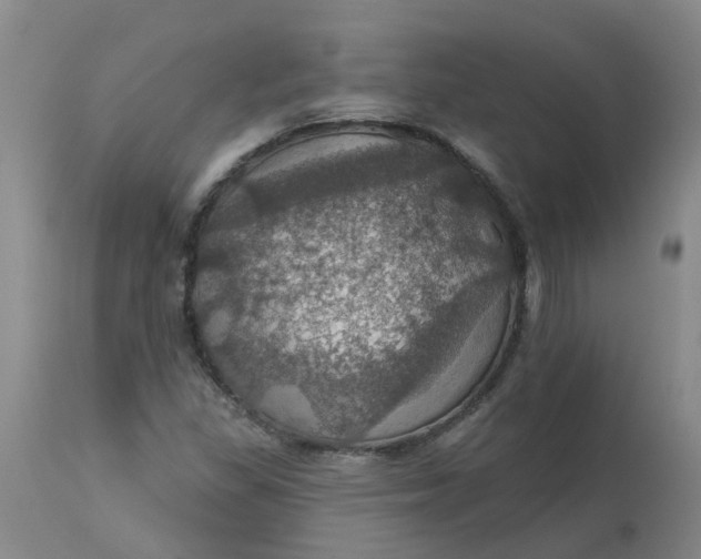 X0000113231309200910011400