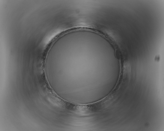 X0000113231310200910011400