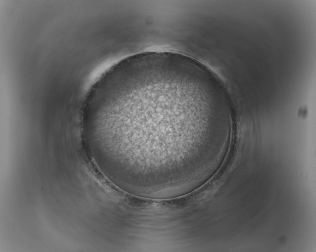 X0000113231311200910011400