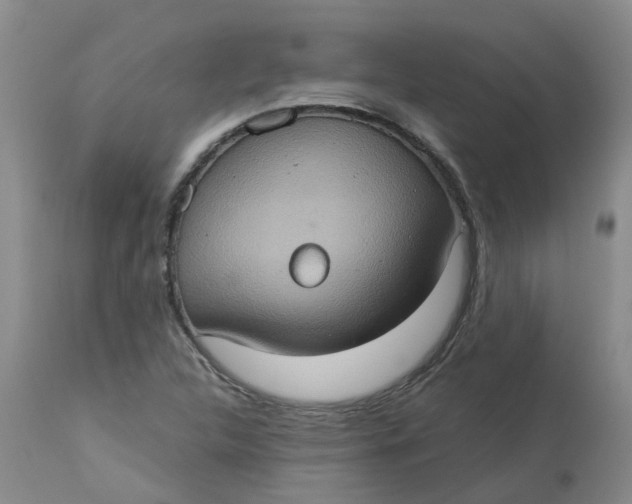 X0000113231312200910011400