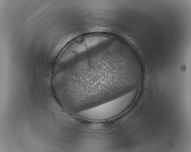 X0000113231313200910011400