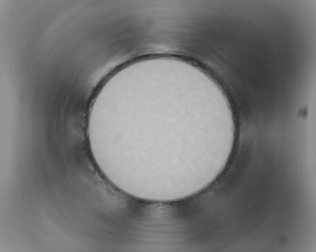 X0000113231314200910011400