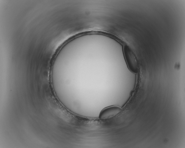 X0000113231316200910011400