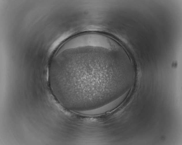 X0000113231317200910011400