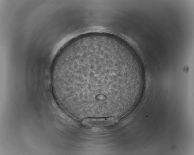 X0000113231318200910011400