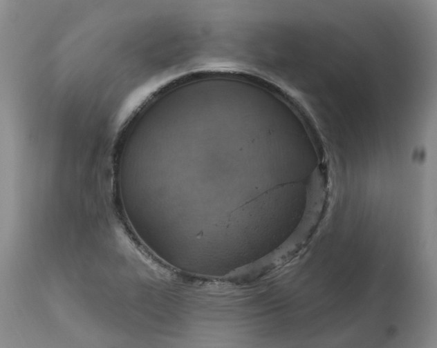 X0000113231319200910011400