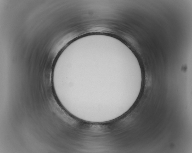 X0000113231322200910011400