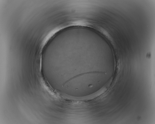 X0000113231323200910011400