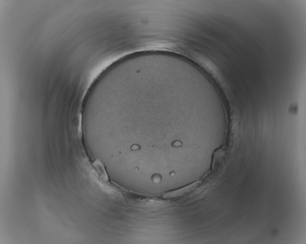 X0000113231324200910011400