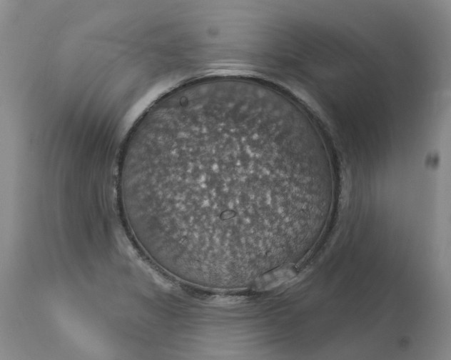 X0000113231325200910011400