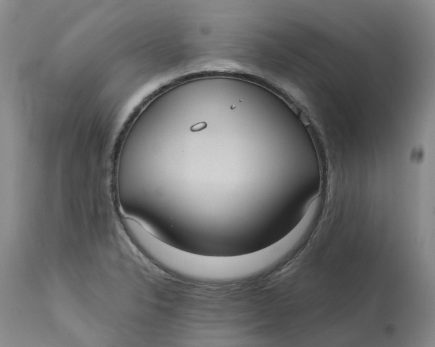 X0000113231326200910011400