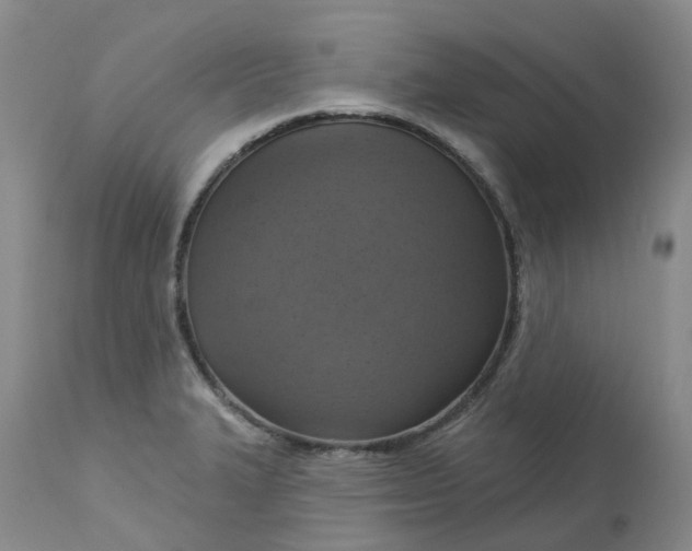 X0000113231327200910011400