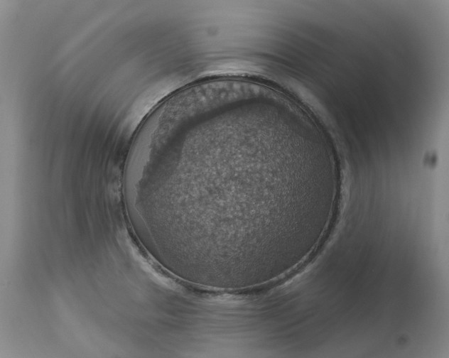 X0000113231329200910011400