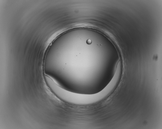 X0000113231330200910011400