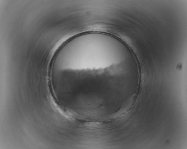 X0000113231331200910011400