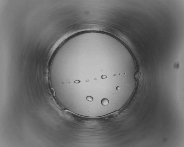 X0000113231332200910011400