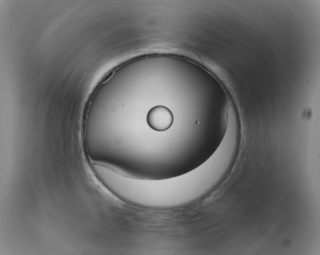 X0000113231334200910011400