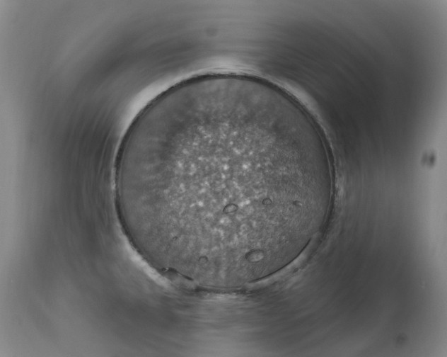 X0000113231335200910011400