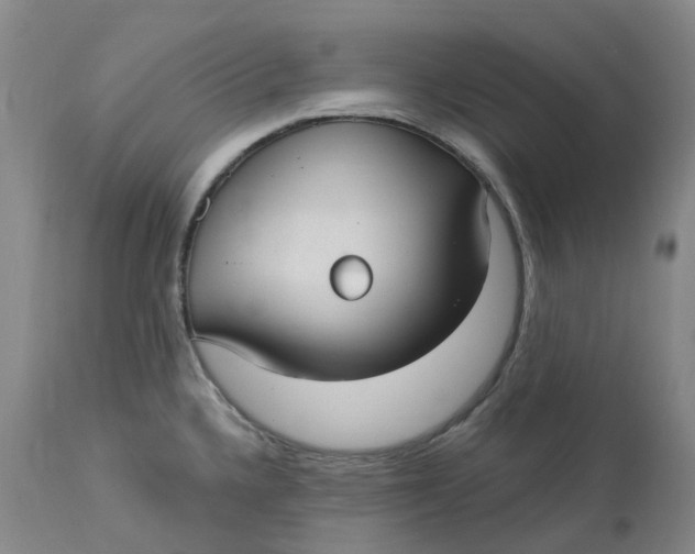 X0000113231336200910011400