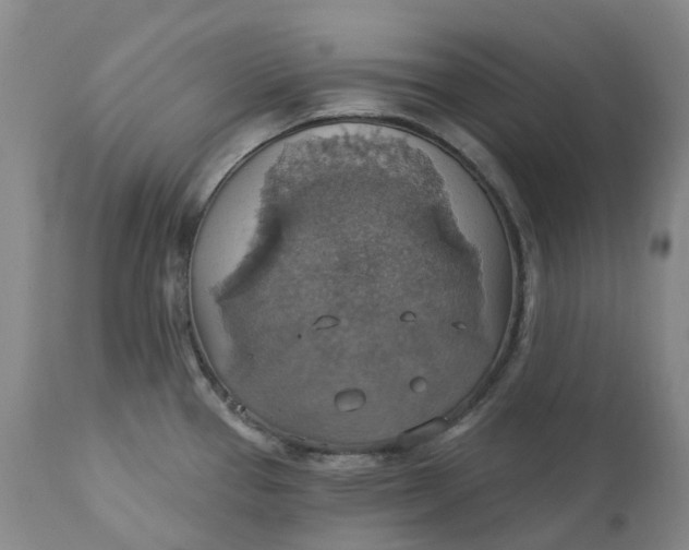 X0000113231337200910011400