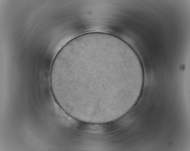 X0000113231338200910011400