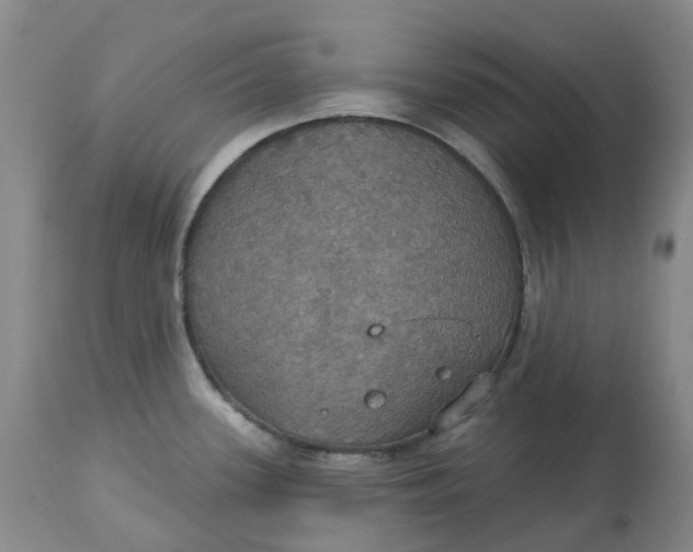 X0000113231339200910011400