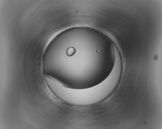 X0000113231340200910011400