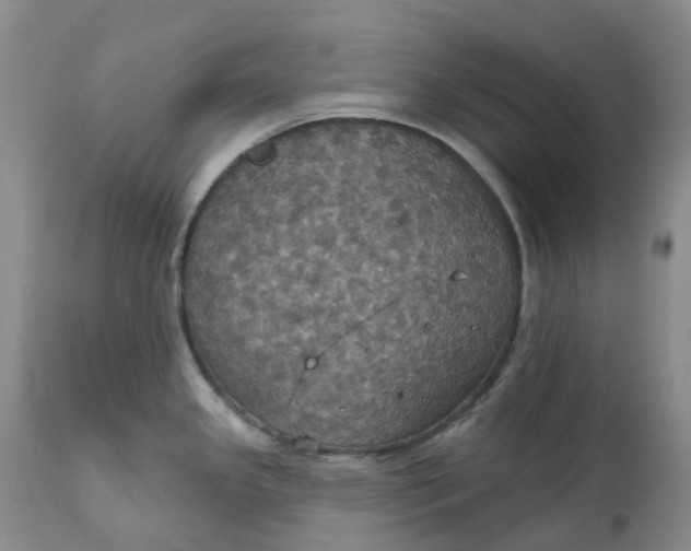 X0000113231341200910011400